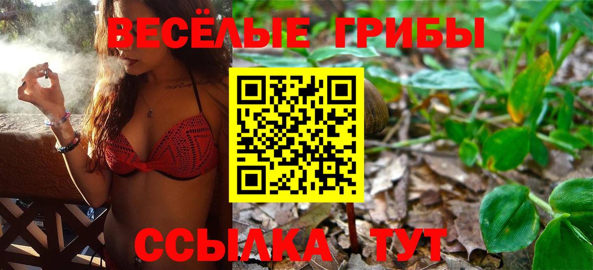 Галлюциногенные грибы Psilocybe  Галлюциногенные грибы Magic Shrooms  Фрязино  Вход с VPN 